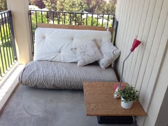 Couch and rug 2