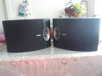 Bose 301 Series V 1