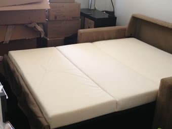 Sleeper Sofa Couch by Crate & Barrel 2