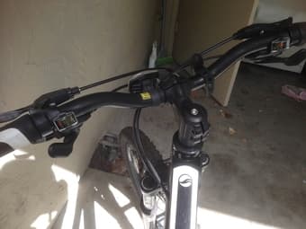 It's perfect for biking in the Farm! $318 2