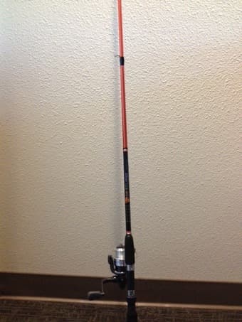 Fishing rod with reel 1