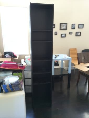 Bookshelves 2