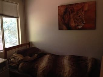 ON CAMPUS furnished sublet in escondido village $1100/mo 8/24-10/25 3