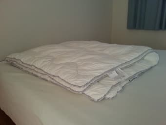 Comforter Queen-size, IKEA 365+ Mysa, $45 1