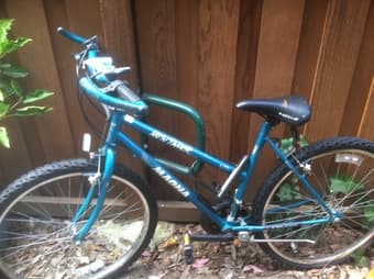 Woman's Mountain Bike for $100 OBO 2