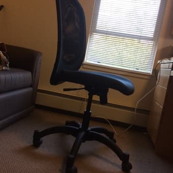 Mesh Back Adjustable Chair, $50, IKEA 1