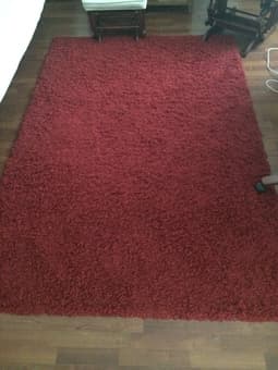 Moving Sale! (Futon, Kitchen Cart, Lamps, Rugs, Plants, Chair, etc.) 3