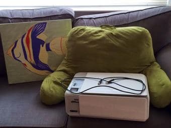 Selling Painting, Green Back Pillow, and HP Photosmart Printer 1