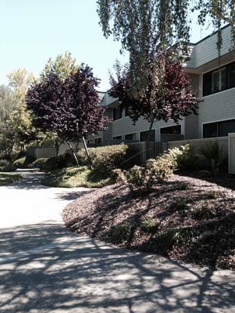 Room available - West Menlo Park - 1/2 mile from Campus - $1300 1