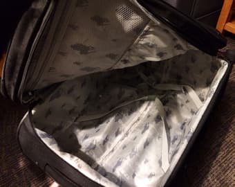 large luggage / suitcase - $35 3