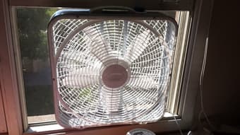 5 week old 20inch premium lasko fan 20$ 2