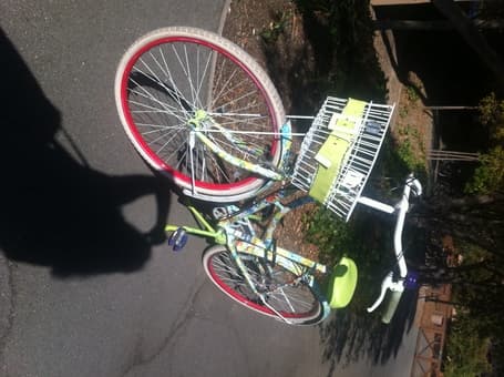 Bike with style - Flowery women bike Alice and Olivia by Stacey Bendet 3