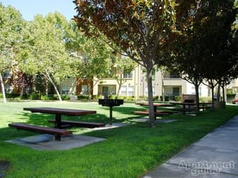 Sublet a 1 Bedroom Apartment in Sunnyvale 2.1K/month 1