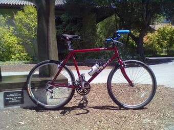My beloved Nishiki. $475 2