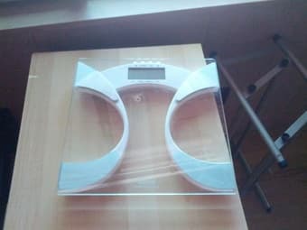 body fat scale 1