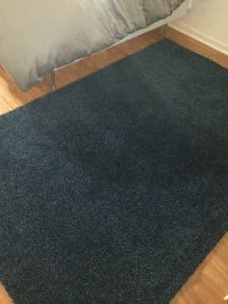 Huge IKEA Rug. Alhede high pile Blue 5x8 - $120 1
