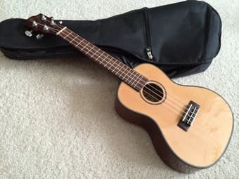 Lanikai SC Concert Ukulele & Soft Case - $100! 1
