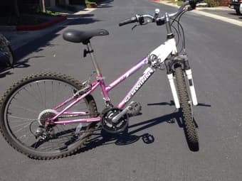 Used women's schwinn (small stature) and single burley solo trailer 2