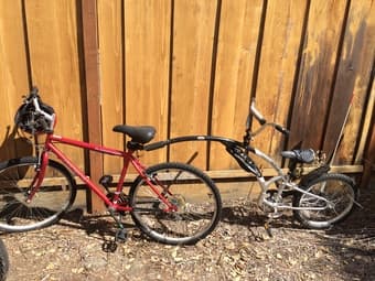 Bicycle for Sale - $100 1