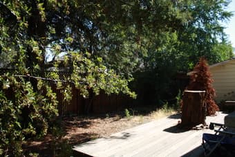 $1050/mo single in 3BR/1BA house in Menlo Park. 5min walk to campus 3
