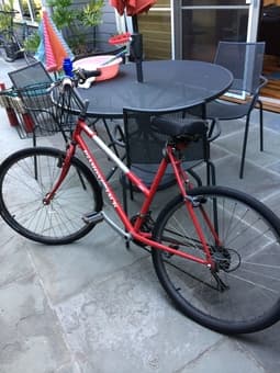woman's mountain bike for free 1
