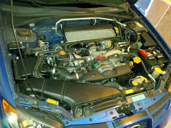 2006 Subaru WRX wagon (Lowest mileage you will find!) 3