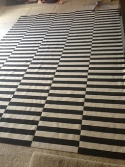 Iconic black and white stripe rug - $180 1