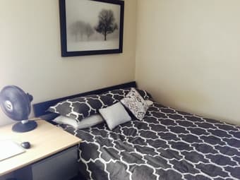 $800 one bedroom for rent near downtown Mountain View 1