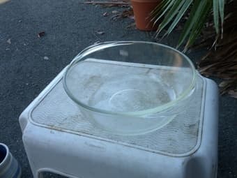 Bowls all for $6 3