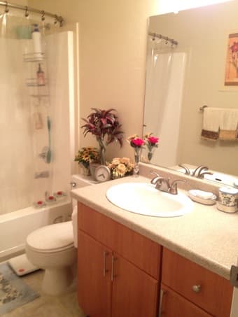 $1015/month shared livingroom/bathroom/kitchen-no private bedroom 2