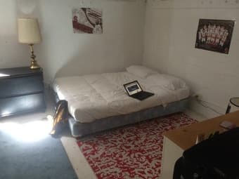 Incredible Basement Room With Plenty of Natural Light 2
