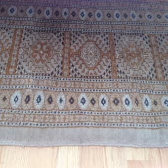 9' by 11' area rug. $200 1