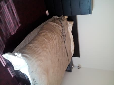 EV sublet 3br Available (12/8-1/11) 3