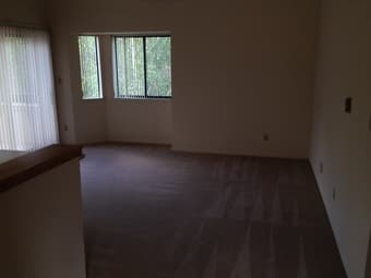 on campus studio+loft till 11/26 - $400/week 2