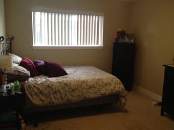 Room for rent in young, modern, pet-friendly complex 1