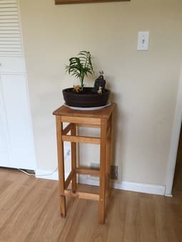 Solid Wood Plant Stand - $20 Union City Pick Up 1