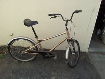 Gold Beach Cruiser, free 1