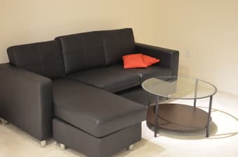 Fully Furnished Room in a 2 BR-2.5 Bath Apartment - $1500 1