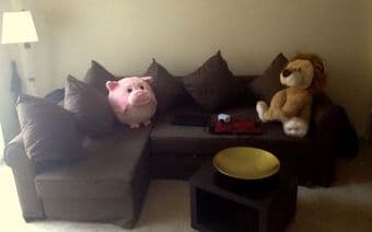 Sofa - Bed - $550 (san jose downtown) 1