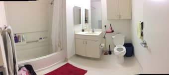 On Campus Studio Available 21 Dec - 6 Jan ($400/week) 2
