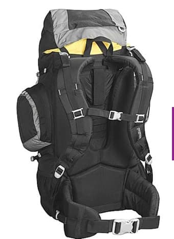 Hiking Backpack / Travel Backpack - Jansport Indio $40 1