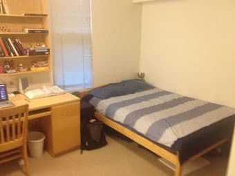 Campus studio for rent anytime 12/19-1/3 3