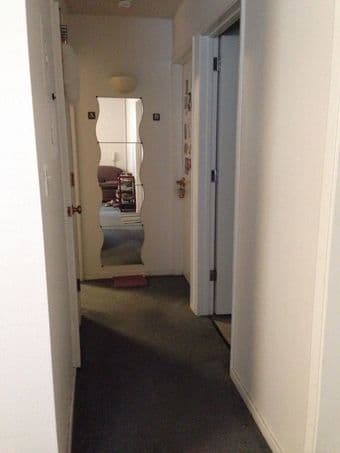 ***1BR in Spacious Rains Houses, Female, Dec.11-31 斯坦福校园内1间卧室出租*** 3