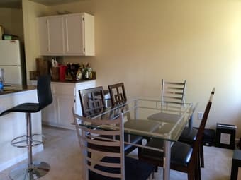 looking for an awesome housemate 2