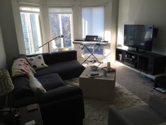 $1750 / month, fully-furnished master bedroom w/ bathroom, SF/Mission 1