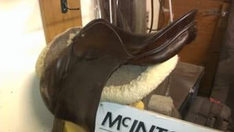 English Saddle, Stubben Siegfried 17" All-purpose $300 1