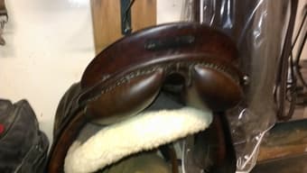 English Saddle, Stubben Siegfried 17" All-purpose $300 3