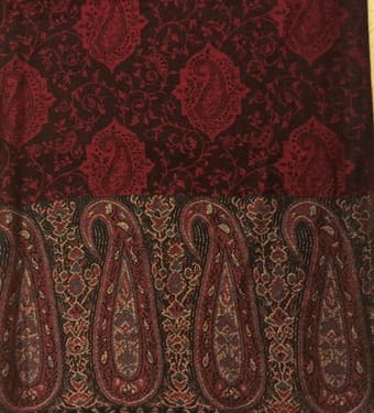 Luxurious Pashmina Shawl - $25 2