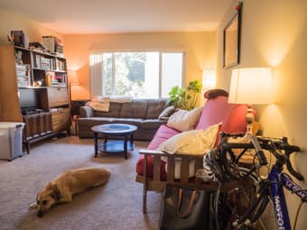 Looking for an awesome roommate to move into my 2bd/1bath with me and my pup! 2