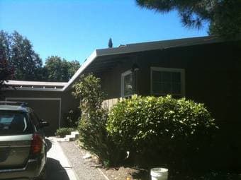 $1500 - Master bedroom in 3br house in Menlo Park 3